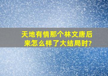 天地有情那个林文唐后来怎么样了(大结局时)?