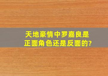 天地豪情中罗嘉良是正面角色还是反面的?