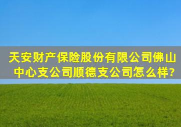 天安财产保险股份有限公司佛山中心支公司顺德支公司怎么样?