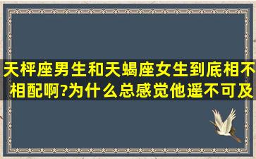 天枰座男生和天蝎座女生到底相不相配啊?为什么总感觉他遥不可及。