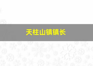 天柱山镇镇长