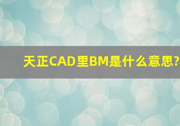 天正CAD里BM是什么意思?