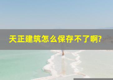 天正建筑怎么保存不了啊?