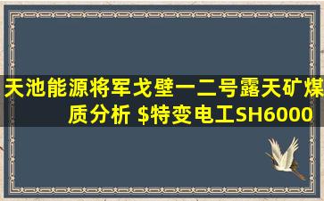 天池能源将军戈壁一二号露天矿煤质分析 $特变电工(SH600089)$ $...