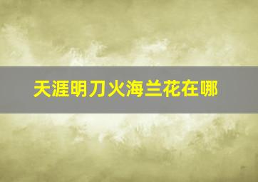 天涯明刀火海兰花在哪