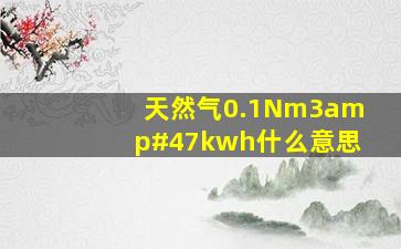 天然气0.1Nm3/kwh什么意思