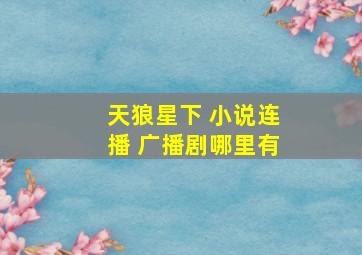 天狼星下 小说连播 广播剧哪里有