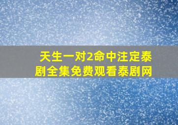 天生一对2命中注定泰剧全集免费观看泰剧网