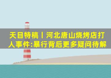 天目特稿丨河北唐山烧烤店打人事件:暴行背后,更多疑问待解