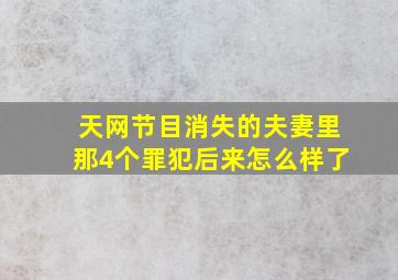 天网节目消失的夫妻里那4个罪犯后来怎么样了