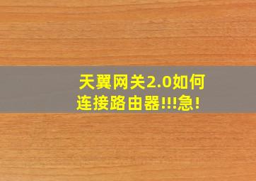 天翼网关2.0如何连接路由器!!!急!