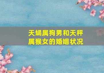 天蝎属狗男和天秤属猴女的婚姻状况