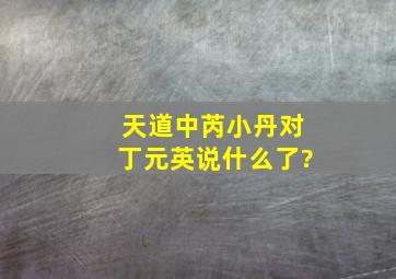 天道中,芮小丹对丁元英说什么了?