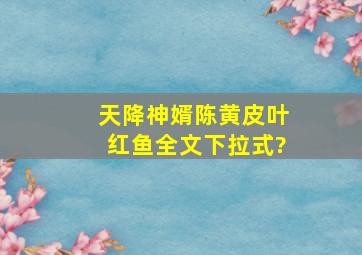 天降神婿陈黄皮叶红鱼全文下拉式?