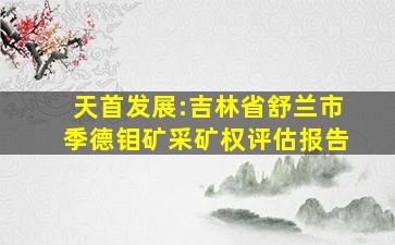 天首发展:吉林省舒兰市季德钼矿采矿权评估报告