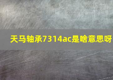 天马轴承7314ac是啥意思呀