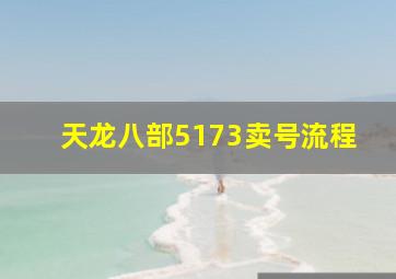 天龙八部5173卖号流程