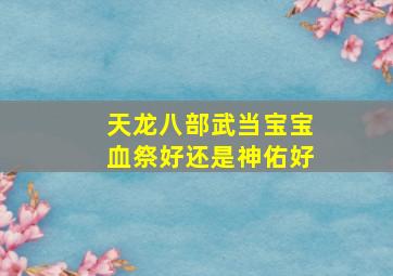 天龙八部武当宝宝血祭好还是神佑好