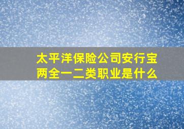 太平洋保险公司安行宝两全一二类职业是什么