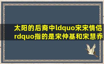 太阳的后裔中“宋宋情侣”指的是宋仲基和宋慧乔吗?