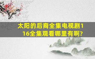 太阳的后裔全集电视剧116全集观看哪里有啊?