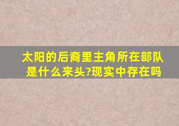 太阳的后裔里主角所在部队是什么来头?现实中存在吗