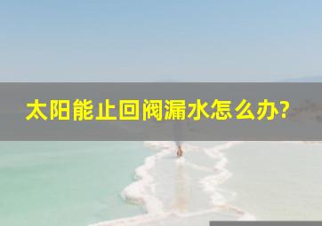 太阳能止回阀漏水怎么办?