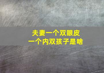 夫妻一个双眼皮一个内双孩子是啥