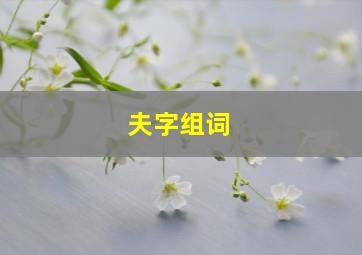 夫字组词