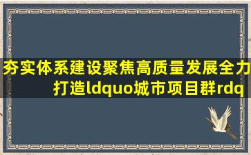 夯实体系建设,聚焦高质量发展,全力打造“城市项目群”模式品牌项目