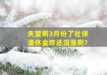 失望啊,3月份了,社保退休金咋还没涨啊?