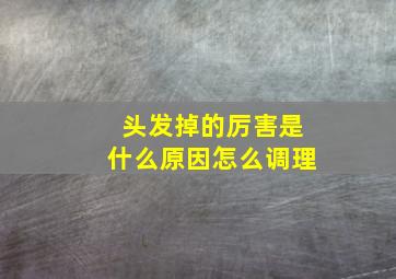 头发掉的厉害是什么原因,怎么调理