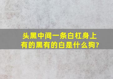 头黑中间一条白杠身上有的黑有的白是什么狗?