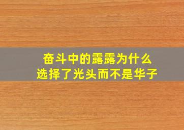 奋斗中的露露为什么选择了光头,而不是华子