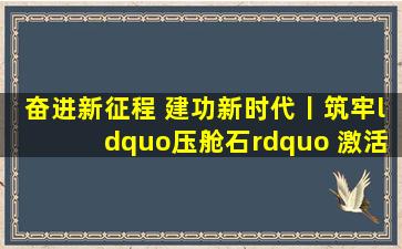 奋进新征程 建功新时代丨筑牢“压舱石” 激活“动力源”