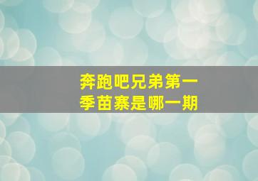 奔跑吧兄弟第一季苗寨是哪一期