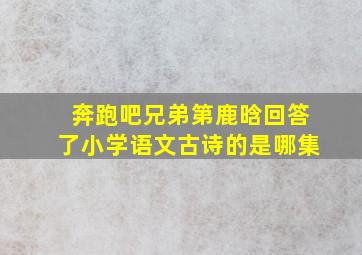 奔跑吧兄弟第鹿晗回答了小学语文古诗的是哪集