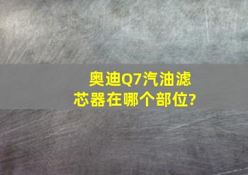 奥迪Q7汽油滤芯器在哪个部位?