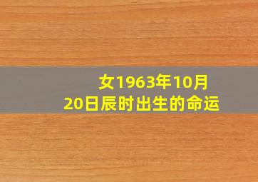 女1963年10月20日辰时出生的命运