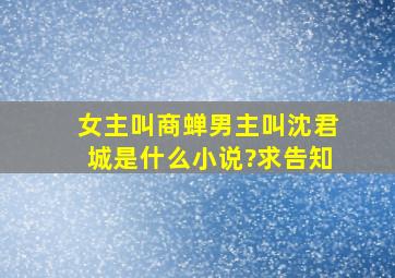 女主叫商蝉,男主叫沈君城,是什么小说?求告知