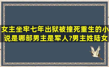 女主坐牢七年出狱被撞死重生的小说是哪部,男主是军人?男主姓陆女主...