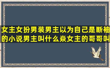 女主女扮男装男主以为自己是断袖的小说,男主叫什么焱,女主的哥哥叫...