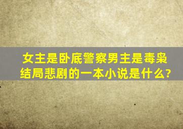 女主是卧底警察,男主是毒枭,结局悲剧的一本小说是什么?