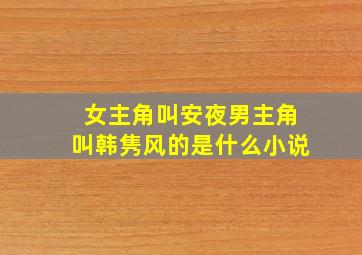 女主角叫安夜男主角叫韩隽风的是什么小说