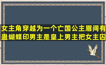 女主角穿越为一个亡国公主,眉间有蛊蝴蝶印,男主是皇上,男主把女主囚禁