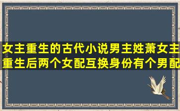 女主重生的古代小说男主姓萧,女主重生后两个女配互换身份,有个男配