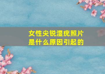 女性尖锐湿疣照片是什么原因引起的