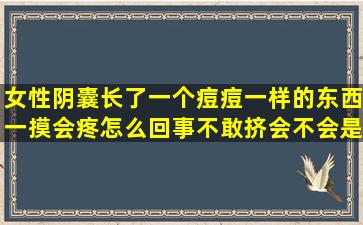 女性阴囊长了一个痘痘一样的东西一摸会疼怎么回事,不敢挤,会不会是...