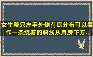 女生整只左手外侧有痣。分布可以看作一条绕着的斜线,从肩膀下方,...