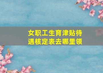 女职工生育津贴待遇核定表去哪里领